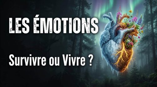 Illustration d'un cœur anatomique entre glace et fleurs dans une forêt boréale avec aurores boréales.
